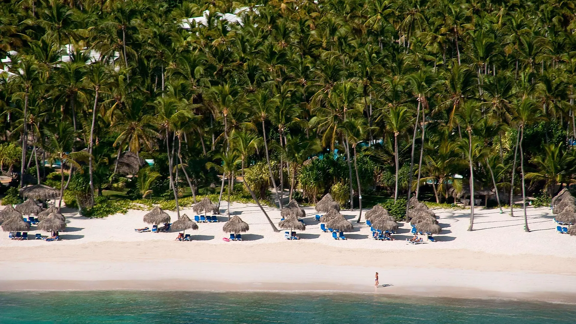 Melia Caribe Beach Resort Punta Cana
