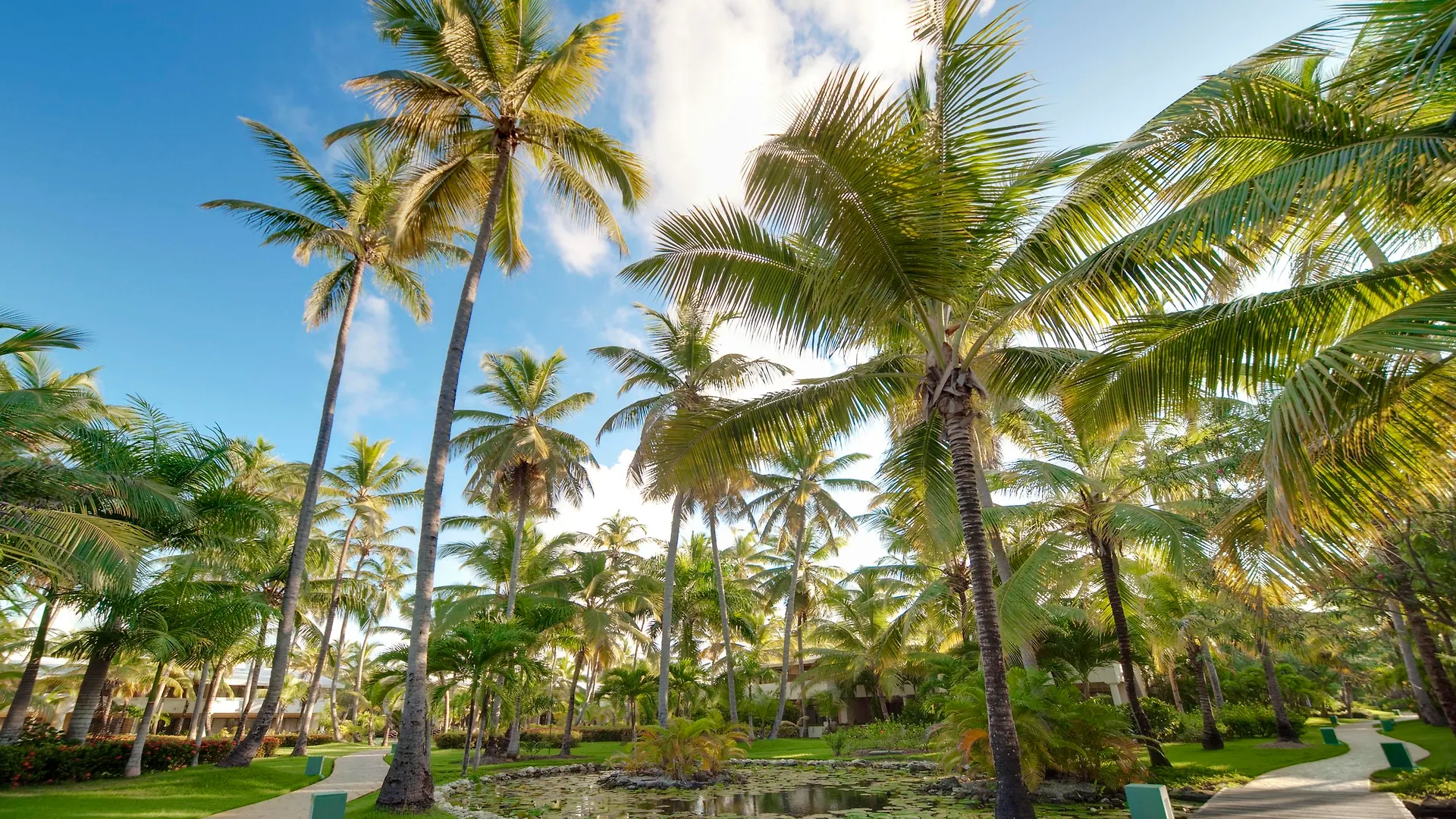 Melia Caribe Beach Resort Punta Cana